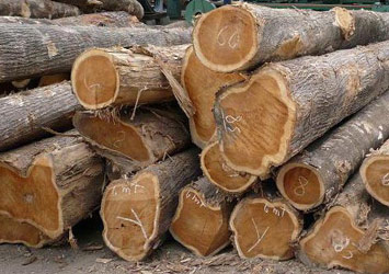 Nigeria Teak Wood